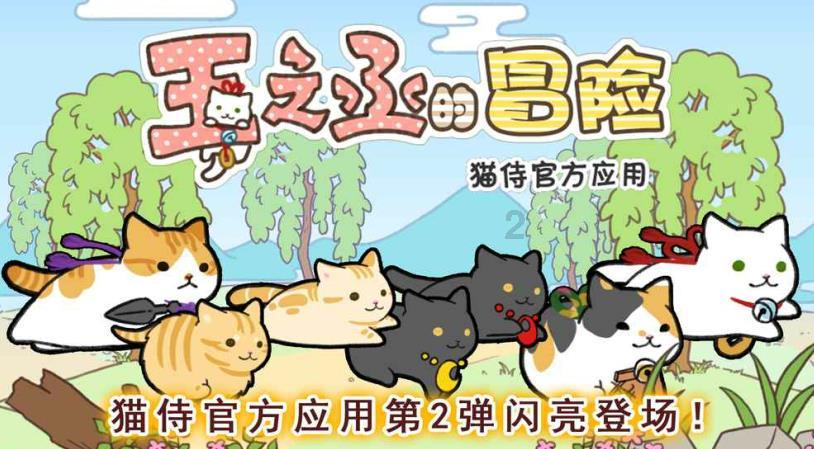赵率舟出战时间揭晓！辽篮新星意外重伤，赵继伟摊牌乌戈无奈